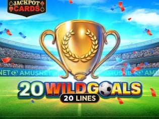 20 Wild Goals screenshot